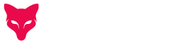 CAIOT Logo